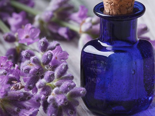 Carstens-Stiftung: Dufttherapie hilft auch bewusstlosen Palliativpatienten Carstens-Stiftung: Dufttherapie hilft auch bewusstlosen Palliativpatienten