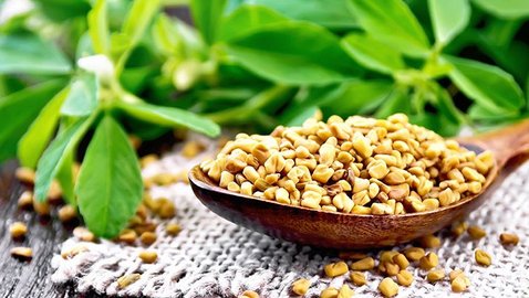 Arthrose: Bockshornklee gegen den Schmerz