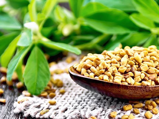 Arthrose: Bockshornklee gegen den Schmerz