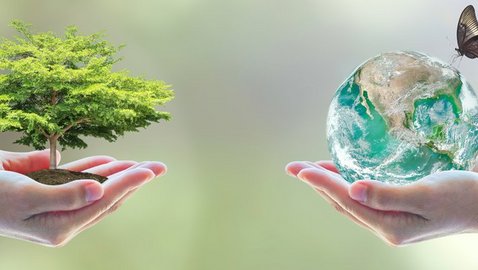 One Health als Konzept der Zukunft