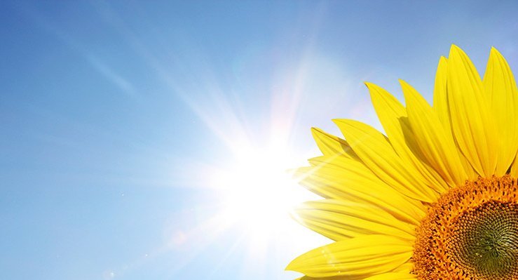 Sonnenbrand? Nein, danke!