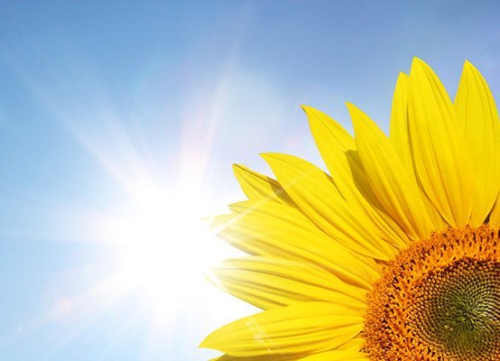 Sonnenbrand? Nein, danke!