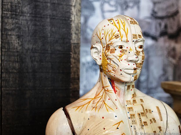 Carstens-Stiftung: Akupunktur mit Elektrostimulation zur nachhaltigen Migräneprophylaxe