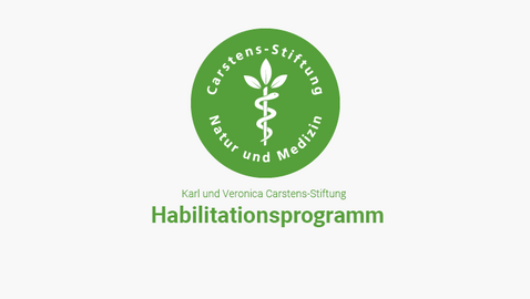 Warum wirkt pflanzenbetonte Ernährung positiv auf die Gesundheit?