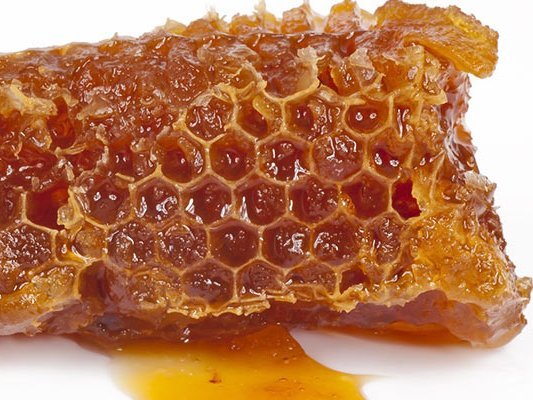 Wunden heilen besser mit Propolis