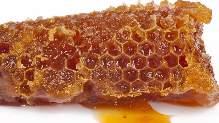 Wunden heilen besser mit Propolis Wunden heilen besser mit Propolis