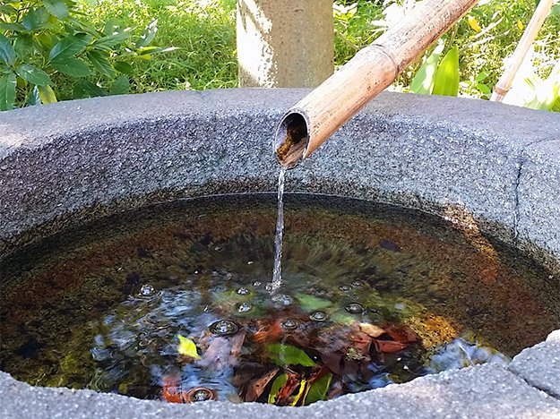 Wasserkur lässt die Pfunde purzeln Wasserkur lässt die Pfunde purzeln