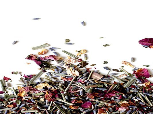 Antibiotische Wirkung von Heilpflanzen Antibiotische Wirkung von Heilpflanzen