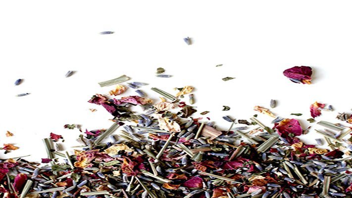 Antibiotische Wirkung von Heilpflanzen Antibiotische Wirkung von Heilpflanzen