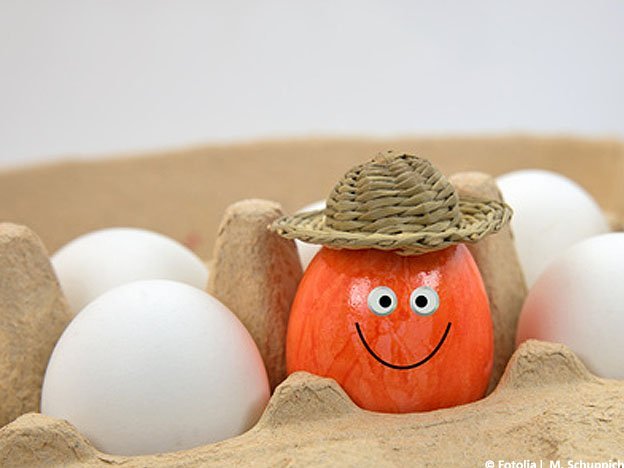 Carstens-Stiftung: Eier wirken sich schlecht auf das Herz aus.