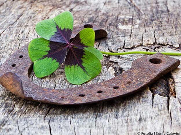 Carstens-Stiftung: Glückstraining für weniger Stress Hufeisen mit vierblättrigem Kleeblatt auf grauem Tisch