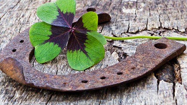 Carstens-Stiftung: Glückstraining für weniger Stress Hufeisen mit vierblättrigem Kleeblatt auf grauem Tisch