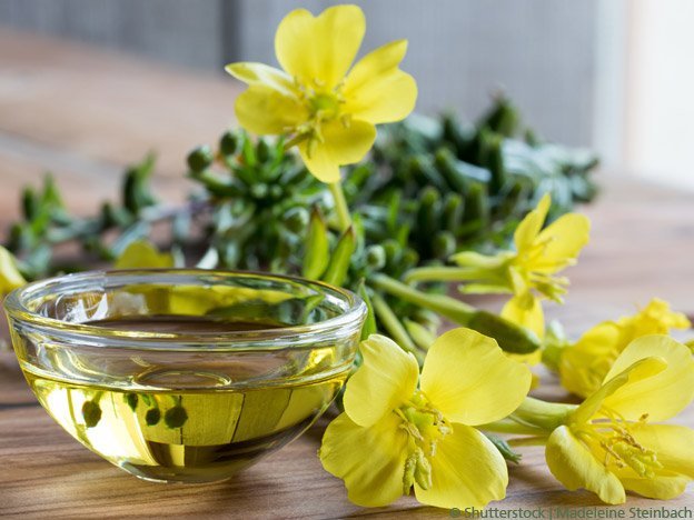 Nachtkerzenöl lindert Nebenwirkungen 