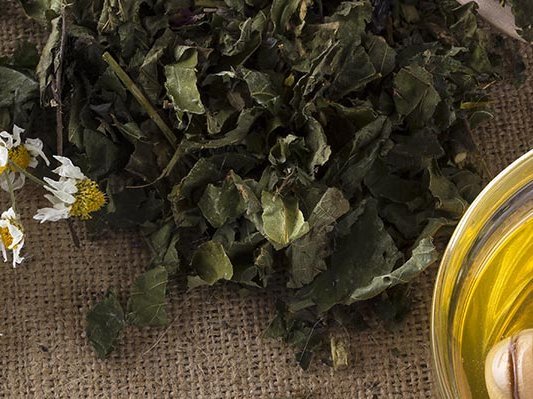 Carstens-Stiftung: Kamille, Minze und Honig bei Chemotherapie-induzierter oraler Mukositis.