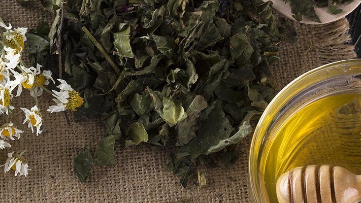 Carstens-Stiftung: Kamille, Minze und Honig bei Chemotherapie-induzierter oraler Mukositis. Carstens-Stiftung: Kamille, Minze und Honig bei Chemotherapie-induzierter oraler Mukositis.