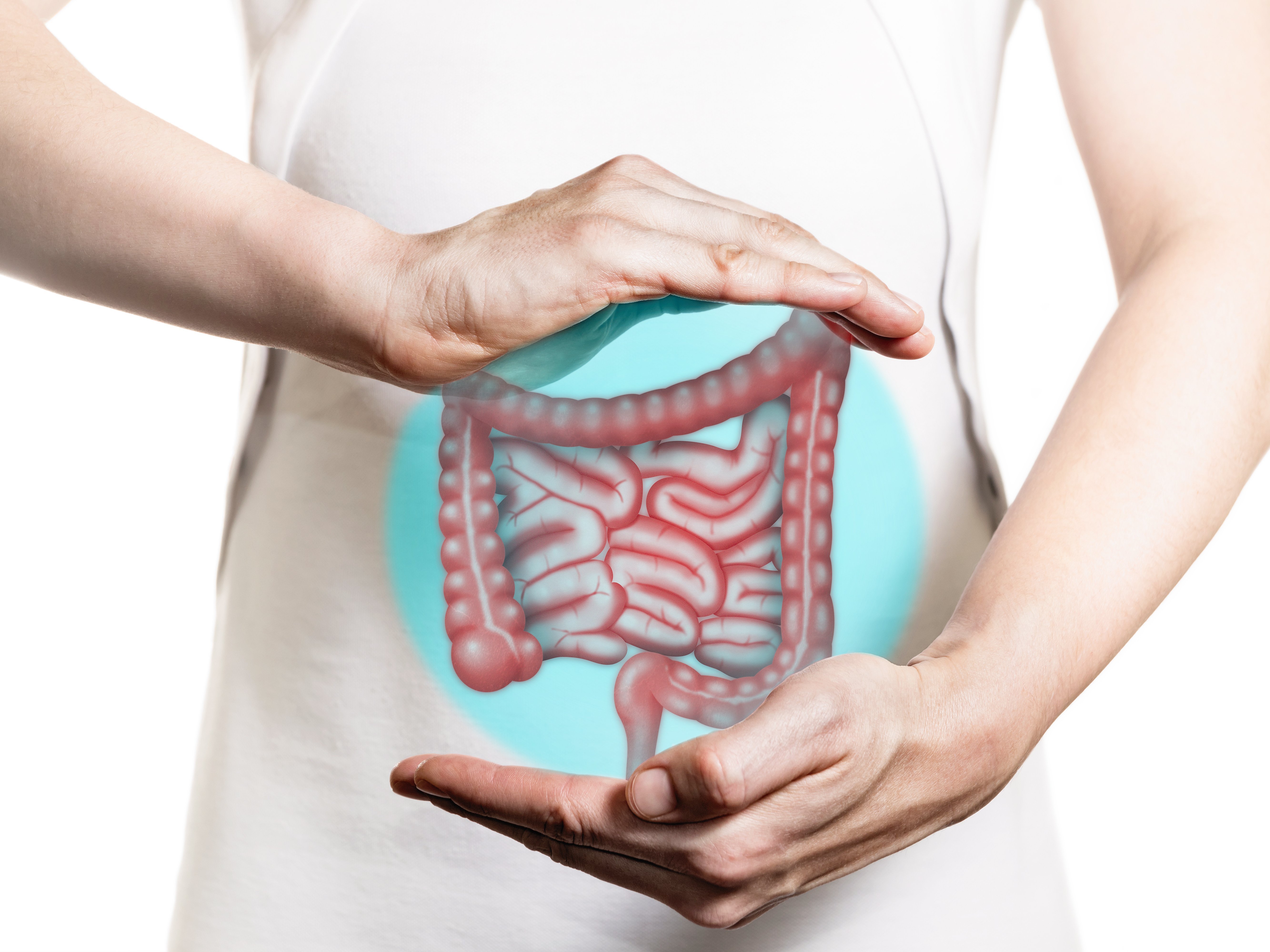 Ausgewählte Bakterien sorgen für Darmreifung