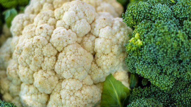 Brokkoli-Wirkstoffe gegen Krebs Brokkoli-Wirkstoffe gegen Krebs