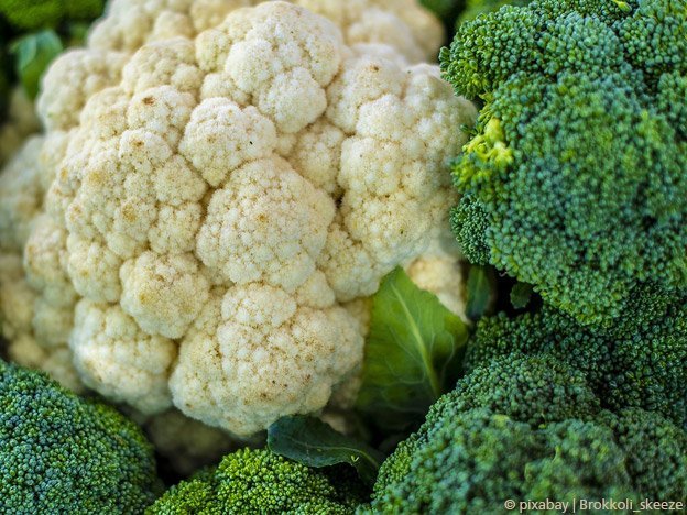 Brokkoli-Wirkstoffe gegen Krebs Brokkoli-Wirkstoffe gegen Krebs