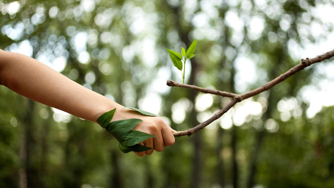 One Health und der Beitrag der Integrativen Medizin