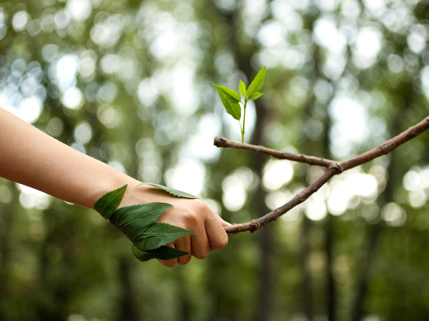 One Health und der Beitrag der Integrativen Medizin