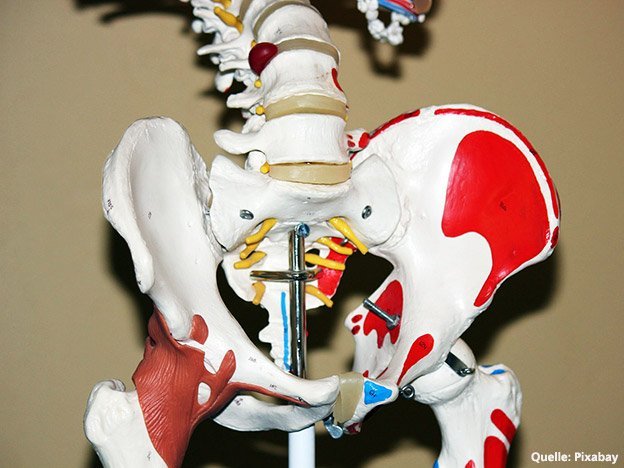 Carstens-Stiftung: Der Einfluss von Vitamin E auf Osteoporose