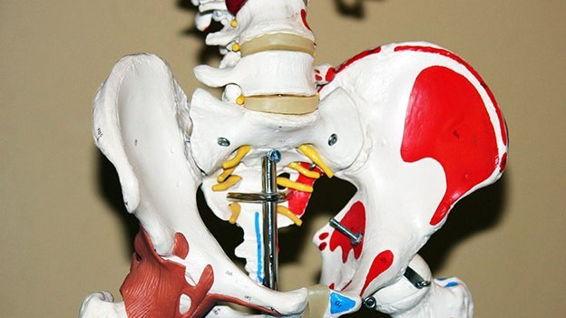 Carstens-Stiftung: Der Einfluss von Vitamin E auf Osteoporose