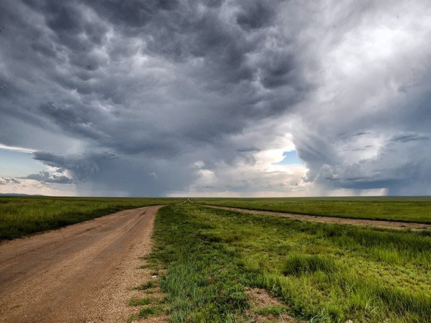 Pflanzen helfen bei Angst Carstens-Stiftung: Pflanzen helfen bei Angst