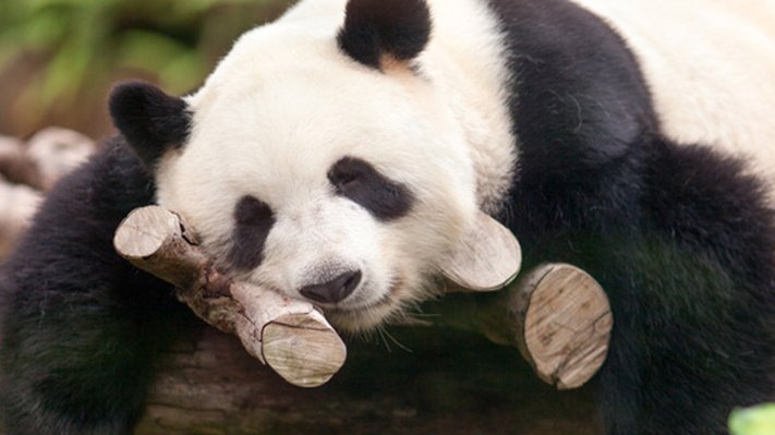 Natürliche Tipps gegen Frühjahrsmüdigkeit Natürliche Tipps gegen Frühjahrsmüdigkeit