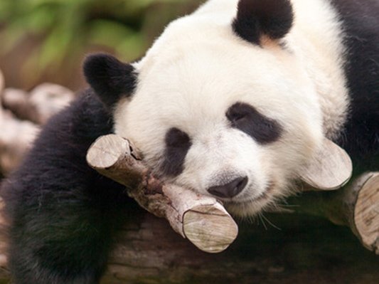 Natürliche Tipps gegen Frühjahrsmüdigkeit Natürliche Tipps gegen Frühjahrsmüdigkeit