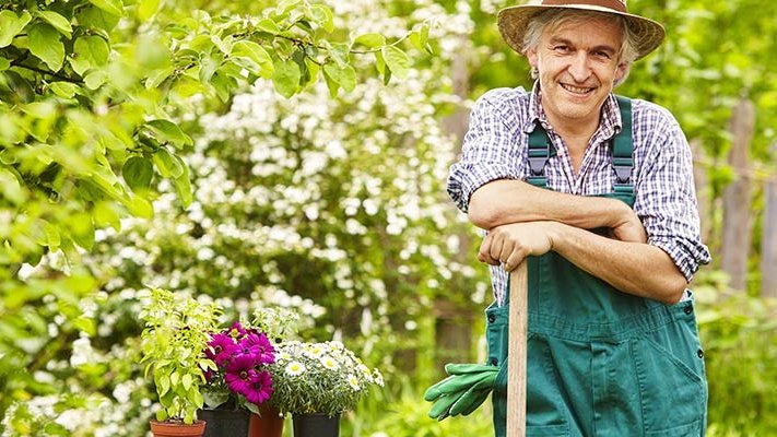 Carstens-Stiftung: Gartentherapie lässt Demenzpatienten aufblühen Carstens-Stiftung: Gartentherapie lässt Demenzpatienten aufblühen