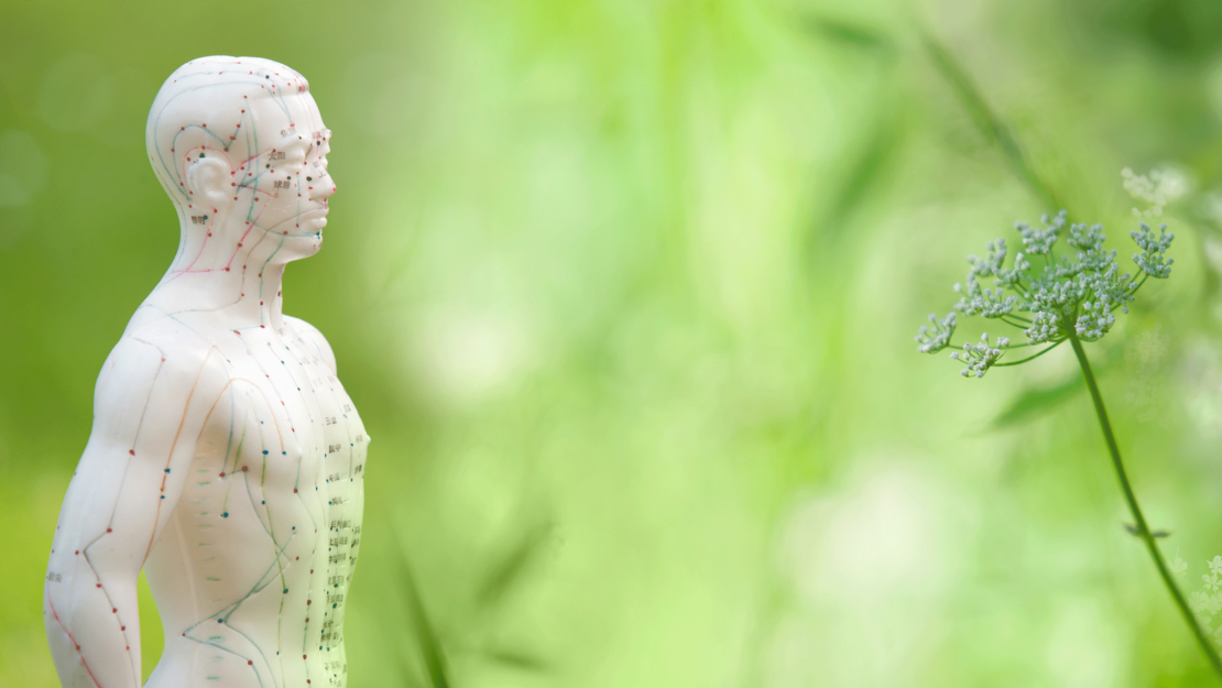 Newsroom Integrative Medizin