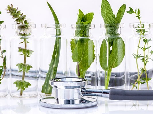 Carstens-Stiftung: Antibiotika aus Pflanzen können eine sinnvolle Alternative zu herkömmlichen antibakteriellen Mitteln sein Carstens-Stiftung: Antibiotika aus Pflanzen können eine sinnvolle Alternative zu herkömmlichen antibakteriellen Mitteln sein