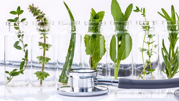 Carstens-Stiftung: Antibiotika aus Pflanzen können eine sinnvolle Alternative zu herkömmlichen antibakteriellen Mitteln sein Carstens-Stiftung: Antibiotika aus Pflanzen können eine sinnvolle Alternative zu herkömmlichen antibakteriellen Mitteln sein