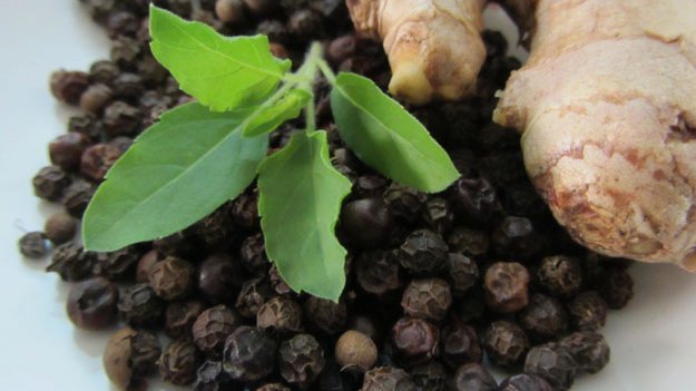 Carstens-Stiftung: Ist falscher Pfeffer gut bei Diabetes? Carstens-Stiftung: Ist falscher Pfeffer gut bei Diabetes?