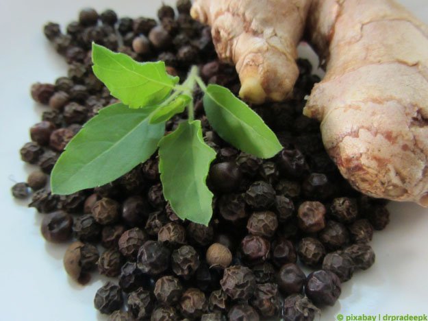 Carstens-Stiftung: Ist falscher Pfeffer gut bei Diabetes?