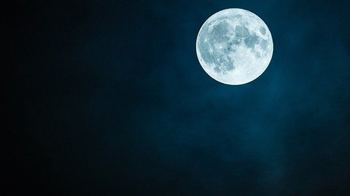 Carstens-Stiftung: Schlaflos bei Vollmond