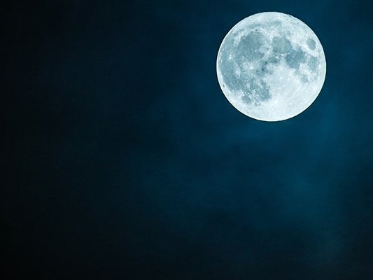 Carstens-Stiftung: Schlaflos bei Vollmond Carstens-Stiftung: Schlaflos bei Vollmond