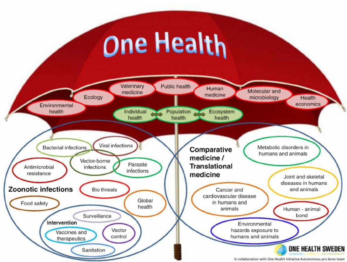 One Health Initiative 2021 One Health Umbrella Schweden