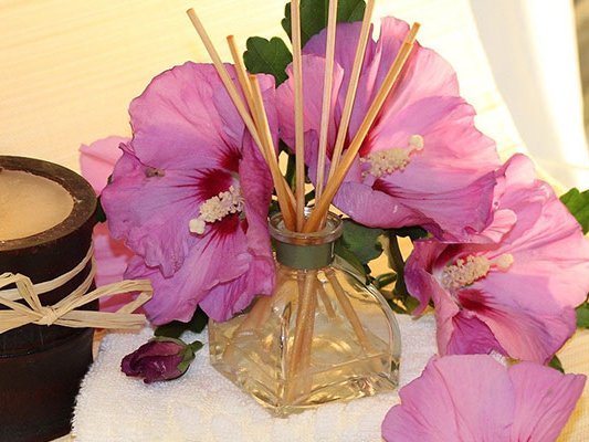 Wirksamkeit von Ayurveda bei chronischen Erkrankungen