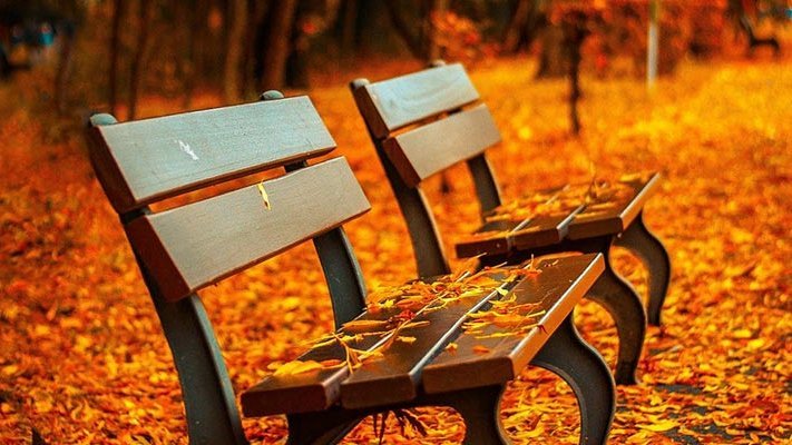 Die Top10 bei Infektanfälligkeit Top 10 Was tun bei Infektanfälligkeit: Tipps aus der Komplementärmedizin zur Immunstärkung