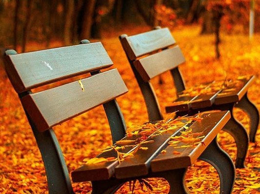 Die Top10 bei Infektanfälligkeit Top 10 Was tun bei Infektanfälligkeit: Tipps aus der Komplementärmedizin zur Immunstärkung