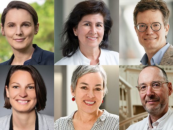 Waldbaden in der Natur und virtuell: Innovative Ansätze bei Fatigue und Depressionen