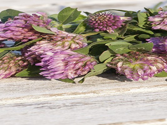 Natürlich durch die Wechseljahre Natürlich durch die Wechseljahre