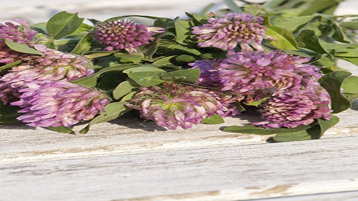 Natürlich durch die Wechseljahre Natürlich durch die Wechseljahre