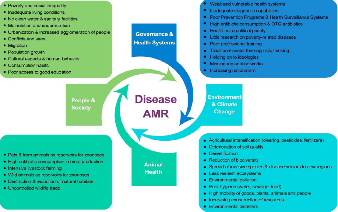 Infektionskrankheiten und Antibiotikaresistenzen