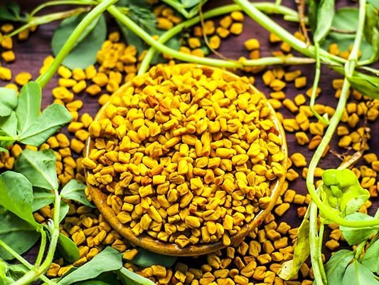 Kann Bockshornklee Parkinson verzögern? 