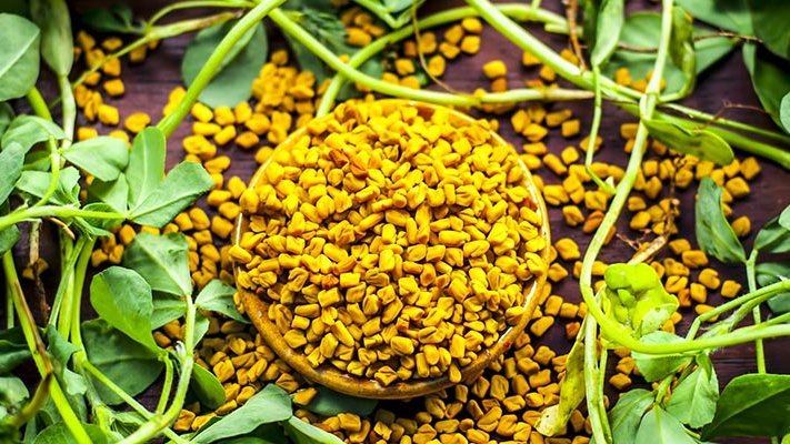 Kann Bockshornklee Parkinson verzögern? 