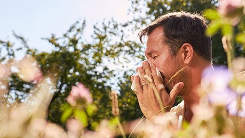 Heuschnupfen lindern – welchen Beitrag leistet Kamille?
