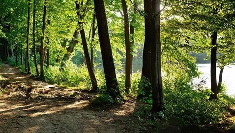 Welchen Effekt haben naturbasierte Therapien?