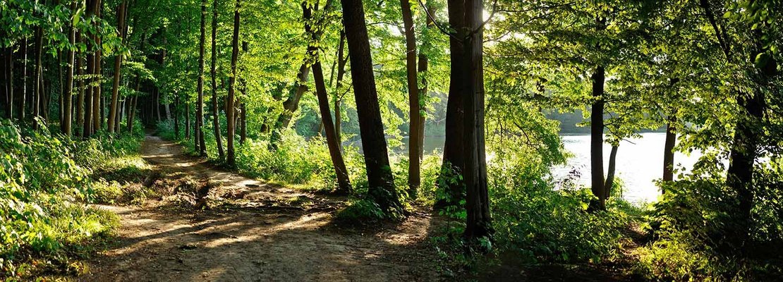 Welchen Effekt haben naturbasierte Therapien?